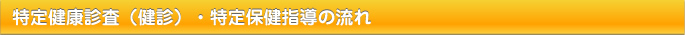 特定保健診査（健診）・特定保健指導の流れ