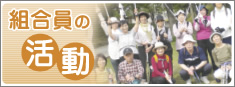 組合員の活動